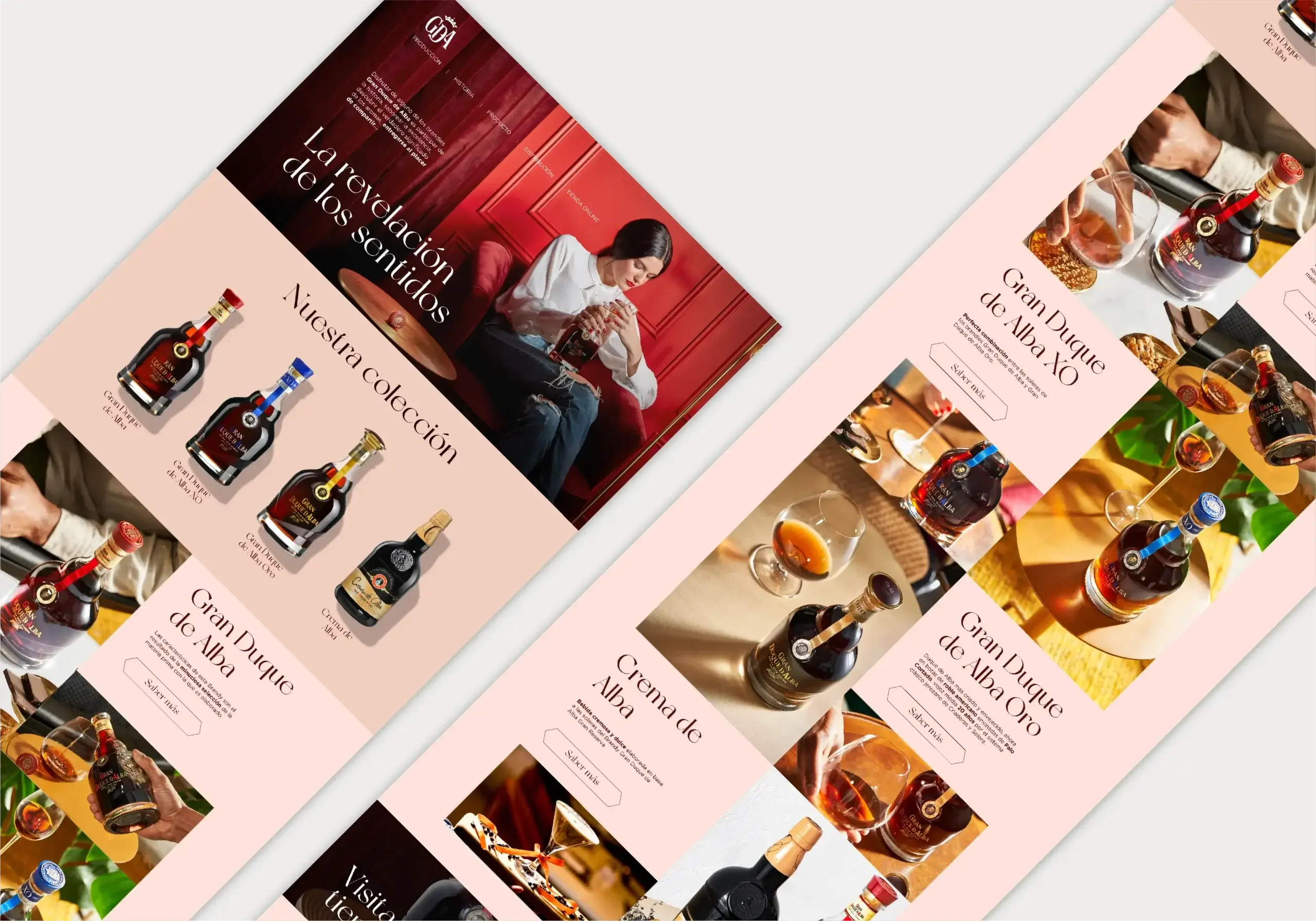 Proyecto Gran Duque de Alba JV Plannet