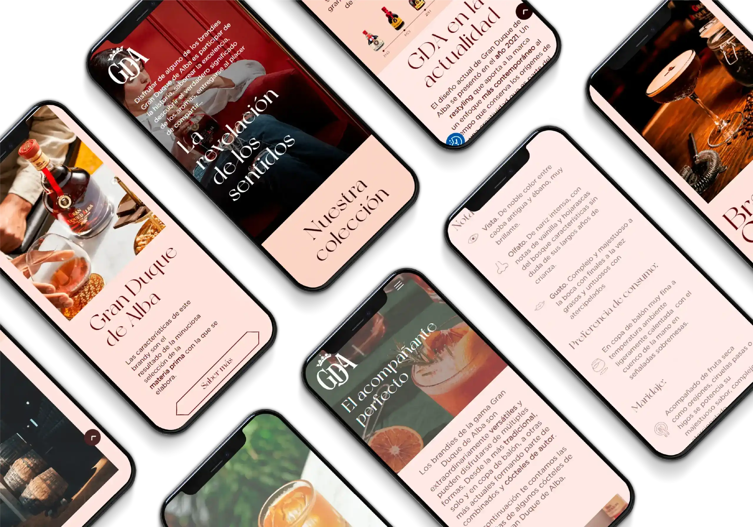 Proyecto Gran Duque de Alba JV Plannet