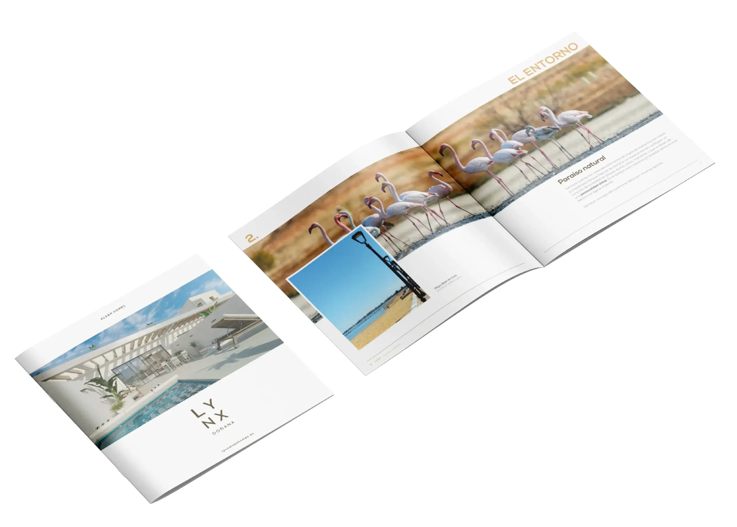 Proyecto Alsan Homes JV Plannet